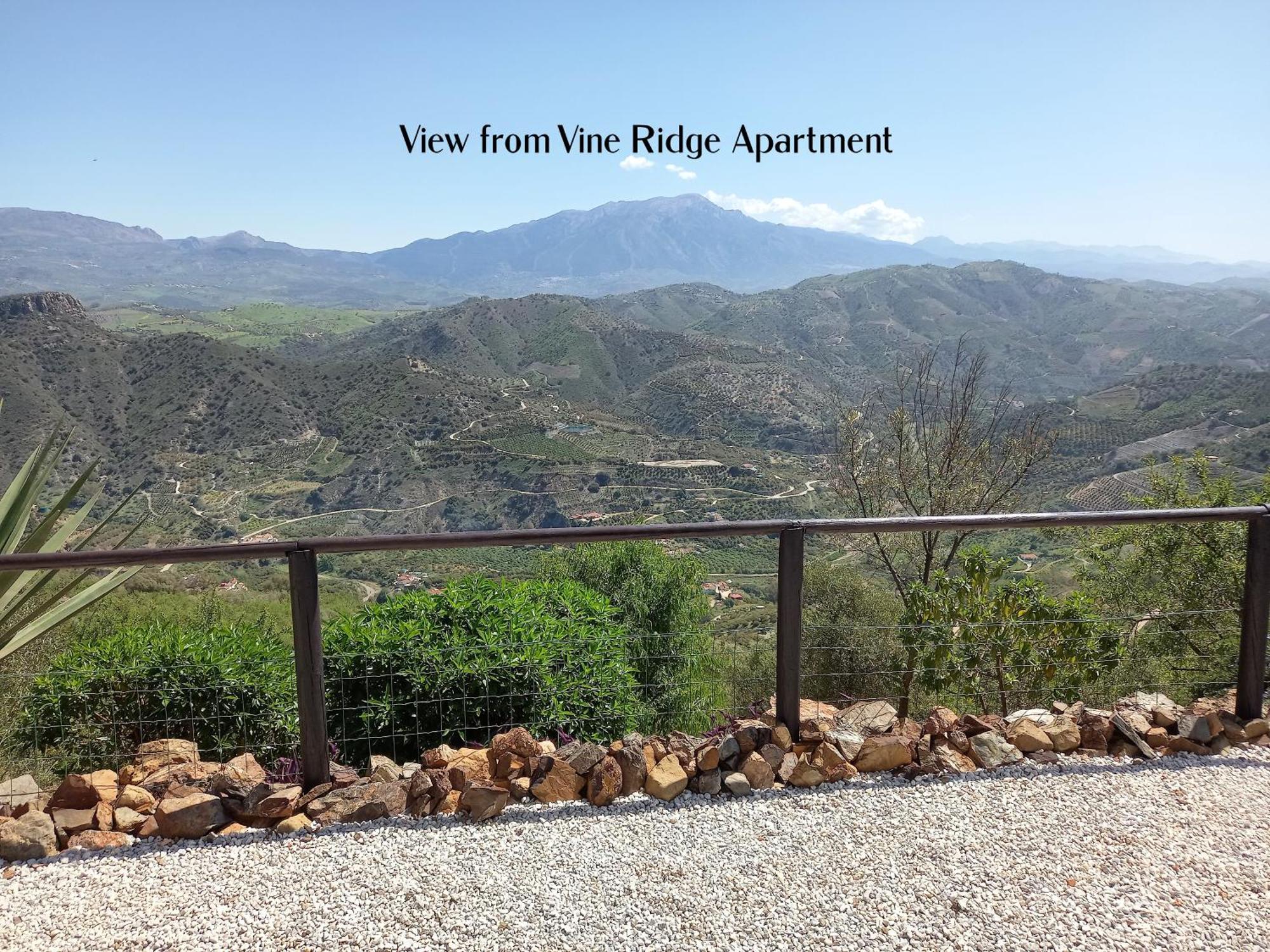Vine Ridge Studio And Apartment Comares Kültér fotó