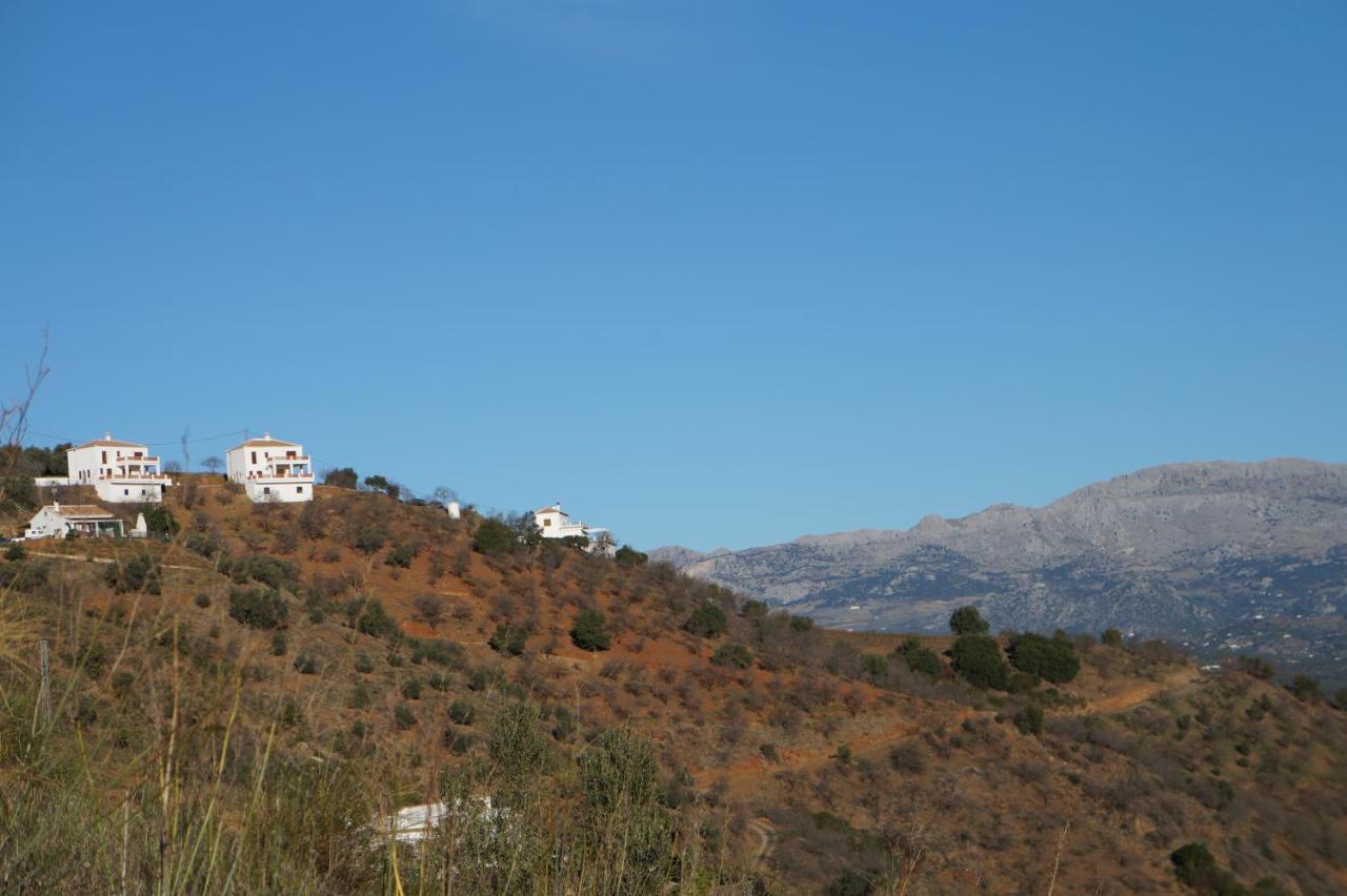 Vine Ridge Studio And Apartment Comares Kültér fotó